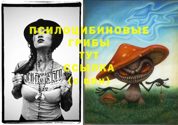 винт Кукмор
