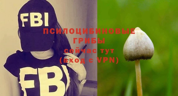 apvp Куйбышев