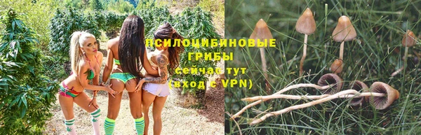 apvp Куйбышев