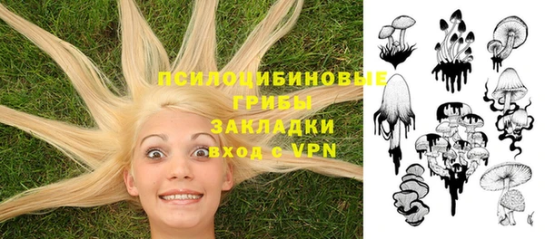 герыч Кулебаки