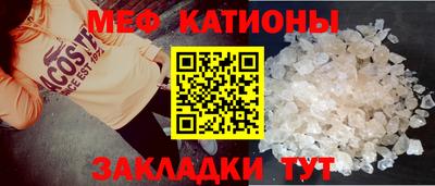 шишки Дубна