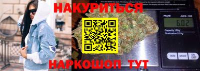 шишки Дубна