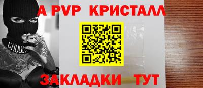 шишки Дубна