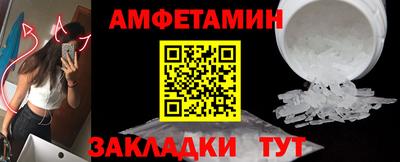 шишки Дубна