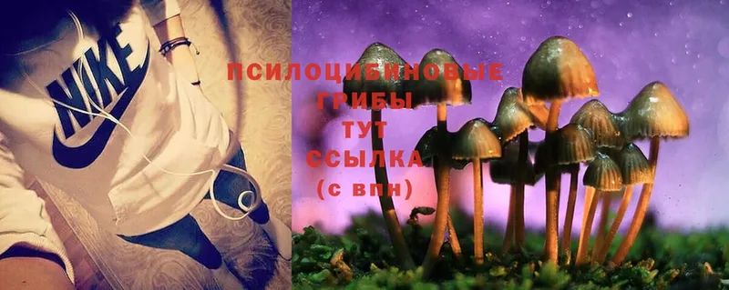 Галлюциногенные грибы MAGIC MUSHROOMS  Кострома 