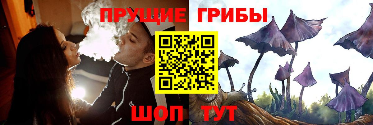 Галлюциногенные грибы мицелий  Галлюциногенные грибы Psilocybe  Вход с VPN  Кострома 