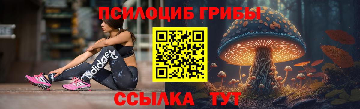 Галлюциногенные грибы Psilocybine cubensis Кострома