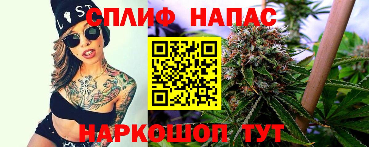 Конопля индика Кострома